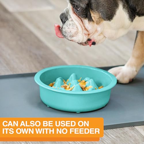 The Niner Slow Feed Bowl (Aquamarine / 2 Cup)