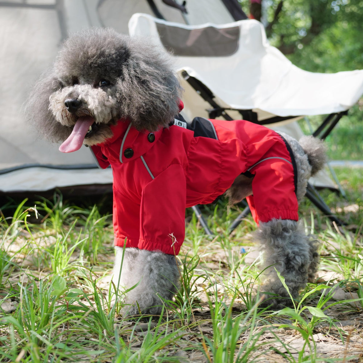 Waterproof Dog Raincoat with Removable Hood (Red / S (Back 11.5"))