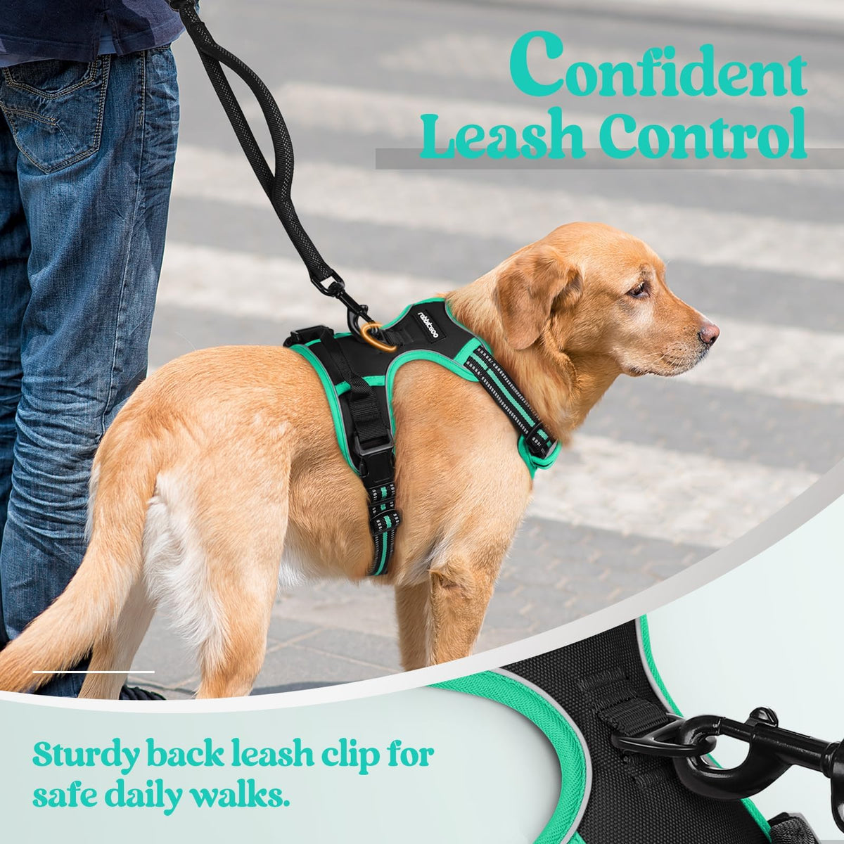 Dog Harness No Pull for Small Dogs with 2 Leash Clips (Small / Black & Turquoise)