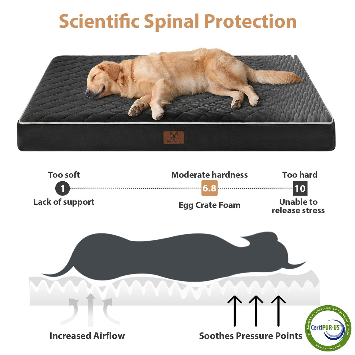 Orthopedic Waterproof Extra Large Senior Dogs Bed for Comfy Sleep (black / 42"L x 30"W x 4"Th)