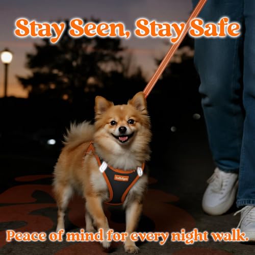 Dog Harness Small Sized and Leash Set (Black & Orange / L (Chest: 18.2"-20.5"))