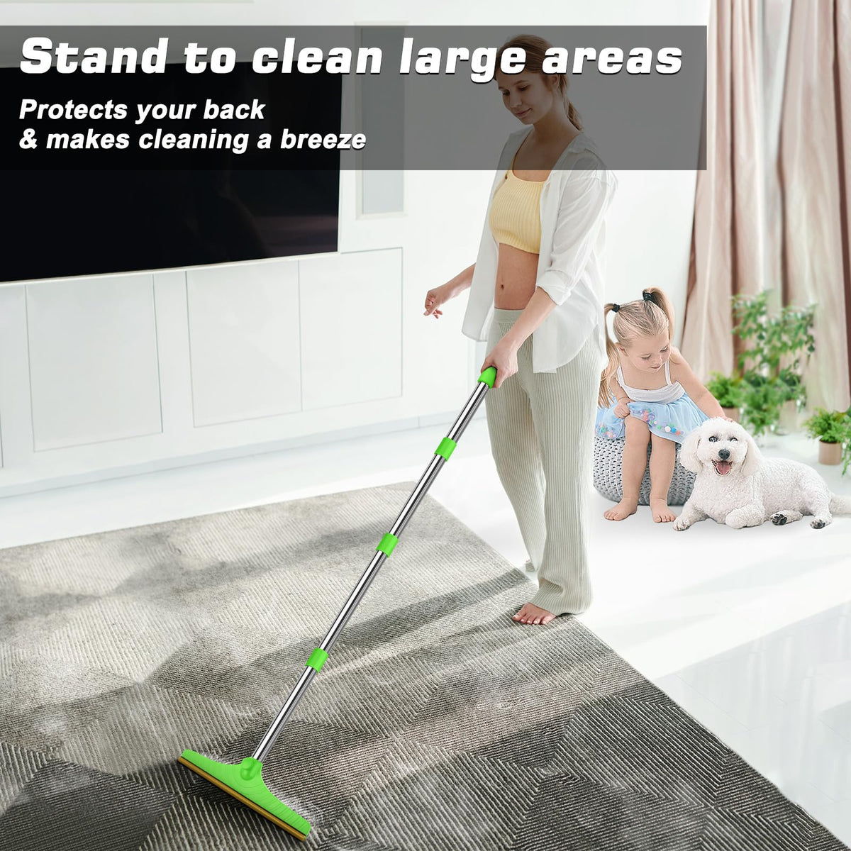 Carpet Rake for Pet Hair Removal (Green)