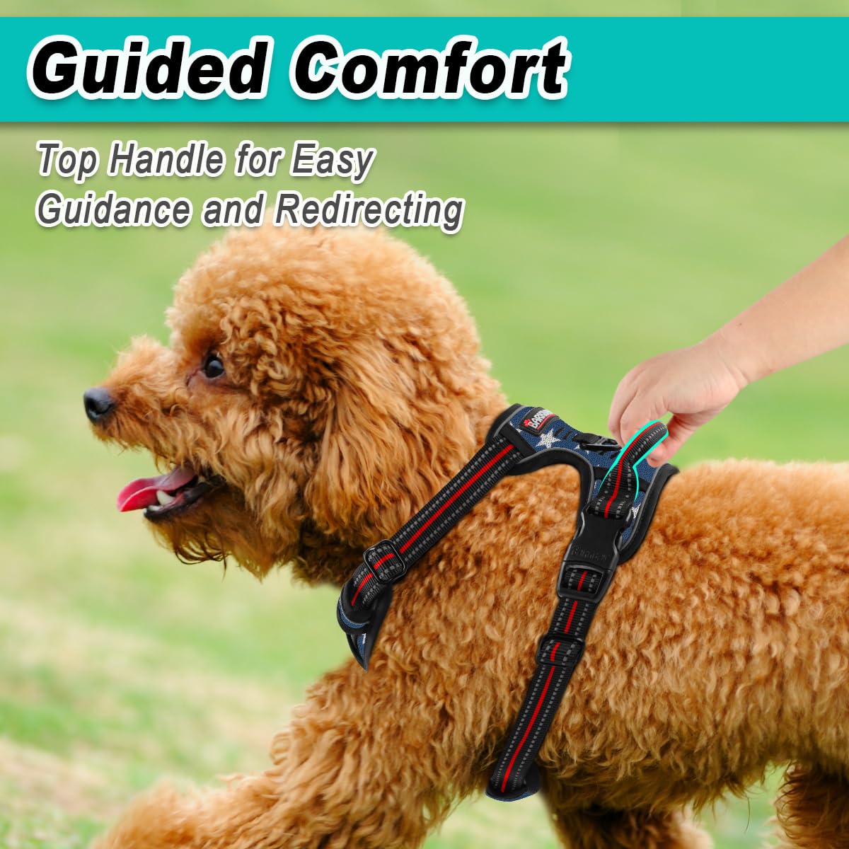 Dog Harness for Small Sized Dog No Pull Mesh 2 Clips Dog Vest (Blue Star-Mesh / Small)