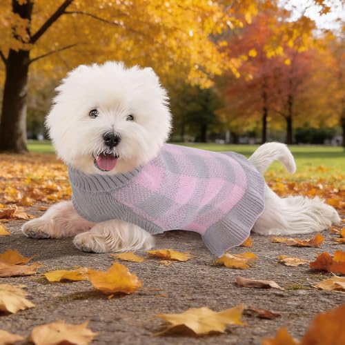 Dog Sweater Dress Plaid Knitwear for Small Dogs Girl Christmas Clothes (Grey / X-Small)
