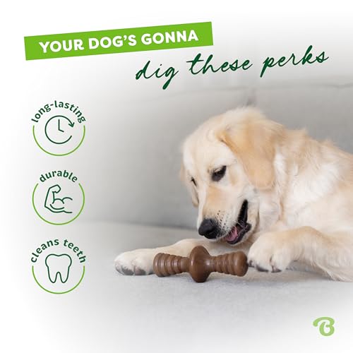 Zaggler Dog Chew Toy for Aggressive Chewers (REAL Chicken / Large)