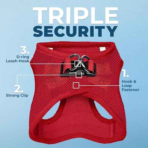 Voyager Step in Air All Weather Mesh Harness and Reflective Dog 5ft Leash Combo with Neoprene Handle (Harness Leash Set (Red) / M (Chest: 16 - 18"))