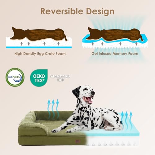 Orthopedic XXL Dog Bed (Olive Green / 46.0"l X 35.0"w X 7.5"th)