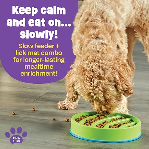 Circle 2-in-1 Slow Feeder Bowl and Lick Mat (Circle Slow Feeder and Lick Mat)