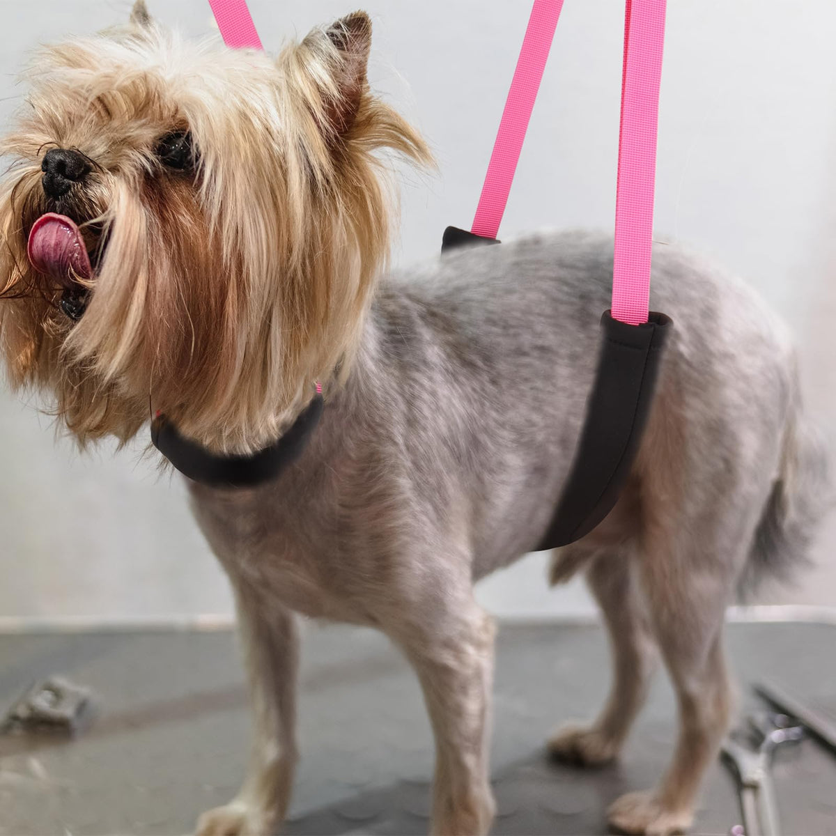 Dog Grooming Belly Strap (Sky Blue)