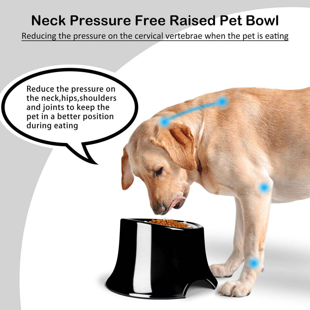 Tilted Elevated Dog Bowls Non (M/2 Cup / Black)