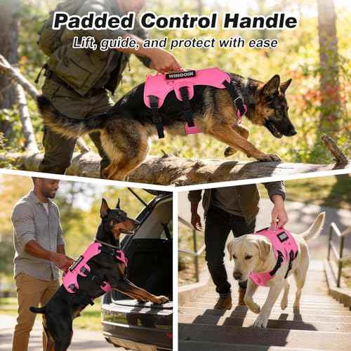 No Escape Dog Harness (Hotpink / Medium: 30-50 lbs (Chest:24-28",Neck:17-19"))