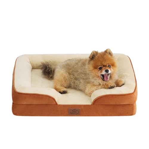 Orthopedic Dog Beds for Small Dogs Washable Original Design (Ember Clay / 24"l X 18"w X 6"th)