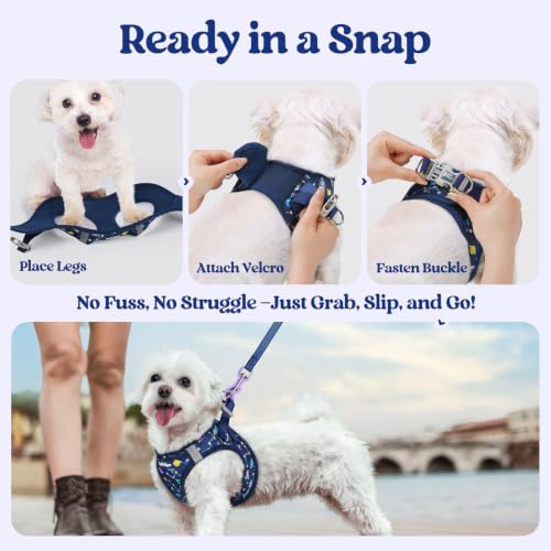 Dog Harness Small Sized and Leash Set (Navy Space Pups / S (chest: 15.1 - 16.5"))