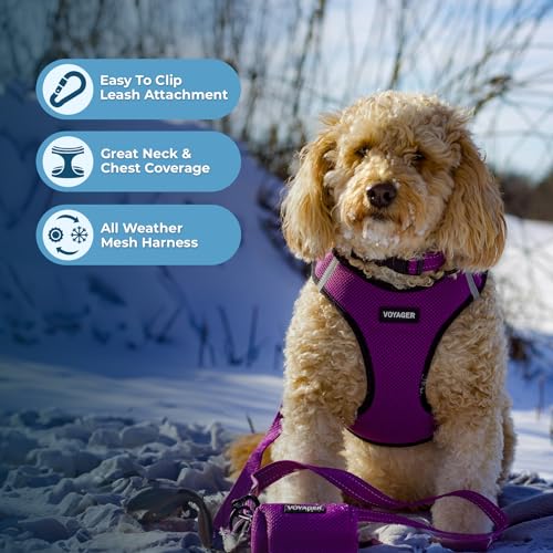 Voyager Step in Air All Weather Mesh Harness and Reflective Dog 5ft Leash Combo with Neoprene Handle (Purple/Black Trim / S (Chest: 14.5 - 16"))