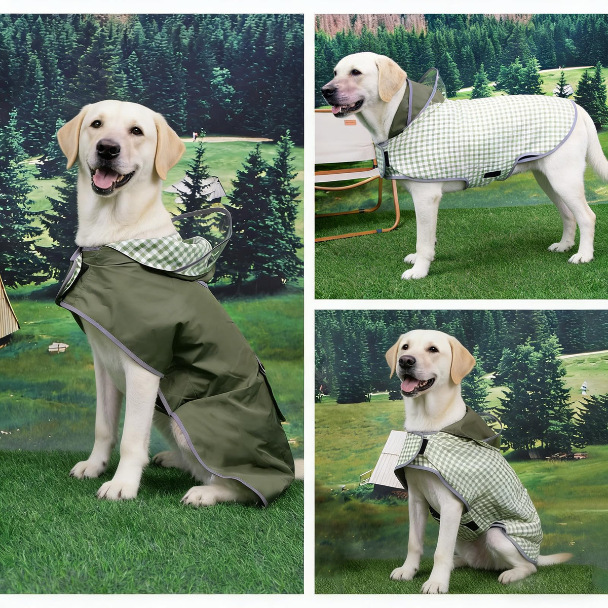 Waterproof Dog Raincoat Reversible (Forest Green / Medium(13-22lb))