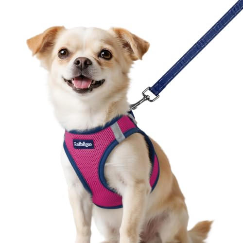 Dog Harness Small Sized and Leash Set (Rose Red & Navy Blue / XXS (Chest: 12.4"-14.2"))
