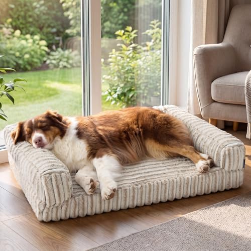 ComfyFleece® Memory Foam Orthopedic Dog Beds Large Sized Dog 35" (Amphora / 35.0"l X 25.0"w X 7"th)