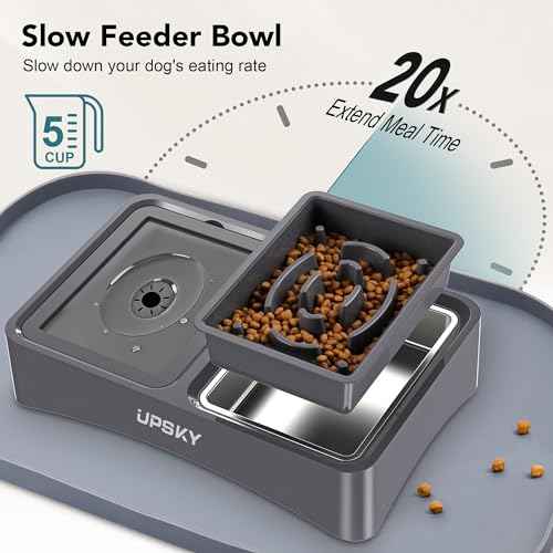 3-in-1 Elevated Dog Bowls Set with 4 Height Adjustable Stand and Mat (N-3 in 1 with Mat (Grey))