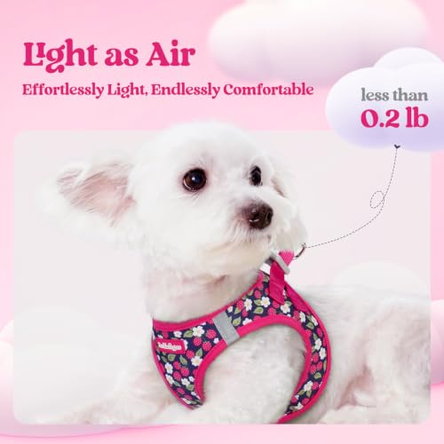 Dog Harness Medium Sized and Leash Set (Pink Berry / M (chest: 16 - 18.5"))