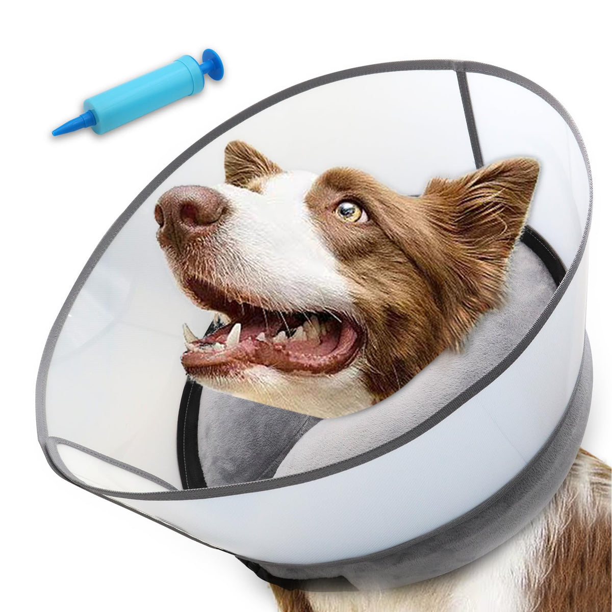 Inflatable Dog Cone Collar (XL (Neck: 18-22") / Grey)