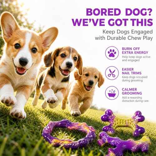 3 Pack Puppy chew Toys (Purple(Small))