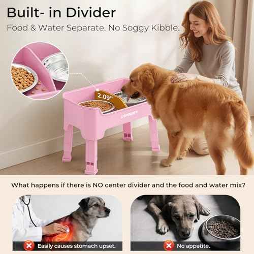 Mess Proof Elevated Dog Bowls (Pink / Medium)