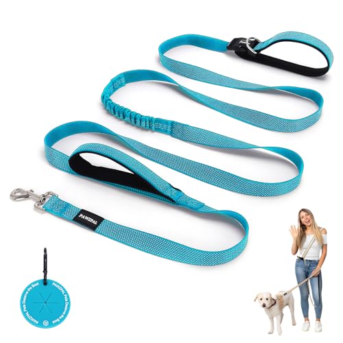 Hands Free Dog Leash (Aqua Blue / Medium (6–8FT))