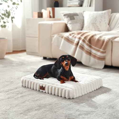 Dog Bed Small Sized for Crate (Cream / S(23x18x3"))