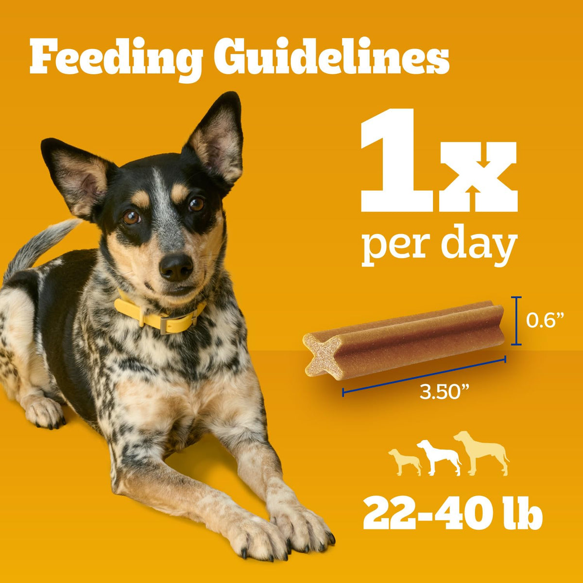 Dentastix Small & Medium Dental Dog Treats (45 Count (Pack of 1))