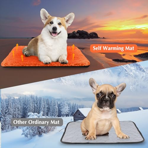 4 Pack Self Warming Cat Mat for Pets (16 x 20 Inch / Orange)