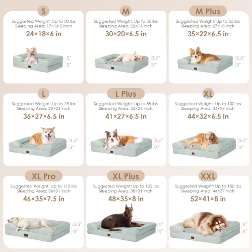 Orthopedic XXL Dog Bed (Sage Green / 46.0"l X 35.0"w X 7.5"th)