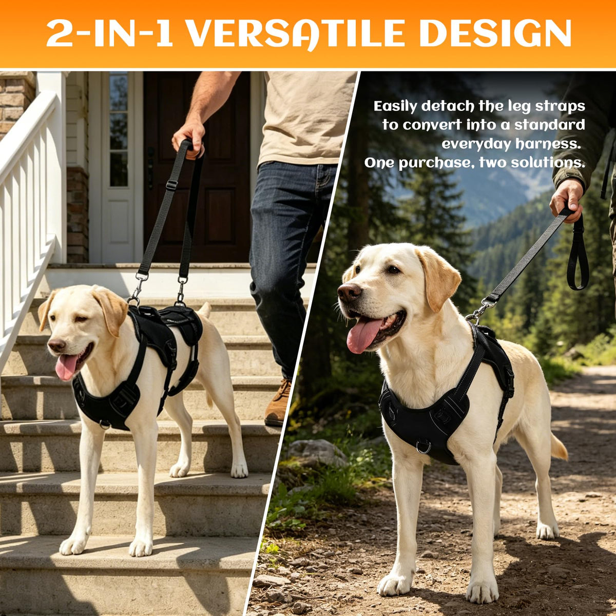 Dog Lift Harness (Black-2 / Medium)