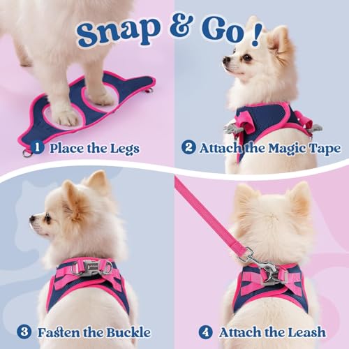 Dog Harness Small Sized and Leash Set (Navy Blue & Rose Red / XS (Chest: 13.3"-15.5"))