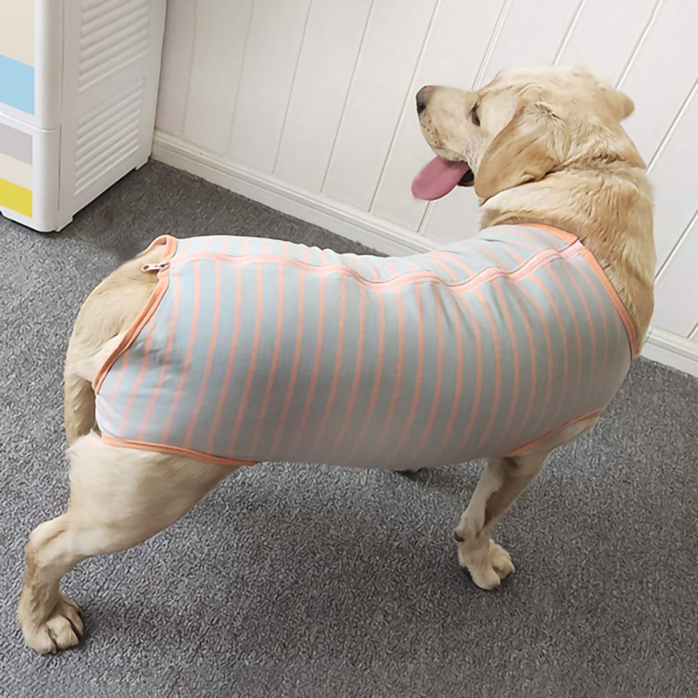 Dog’s Recovery Suit Post Surgery Shirt for Female Male Dog (2xl / grey orange stripe)