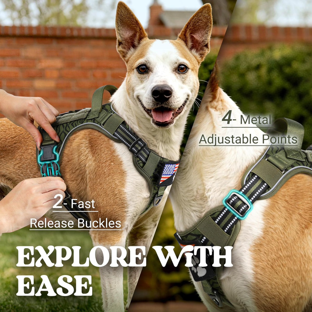 Tactical Dog Harness for Large (Green Desert / X-Large)