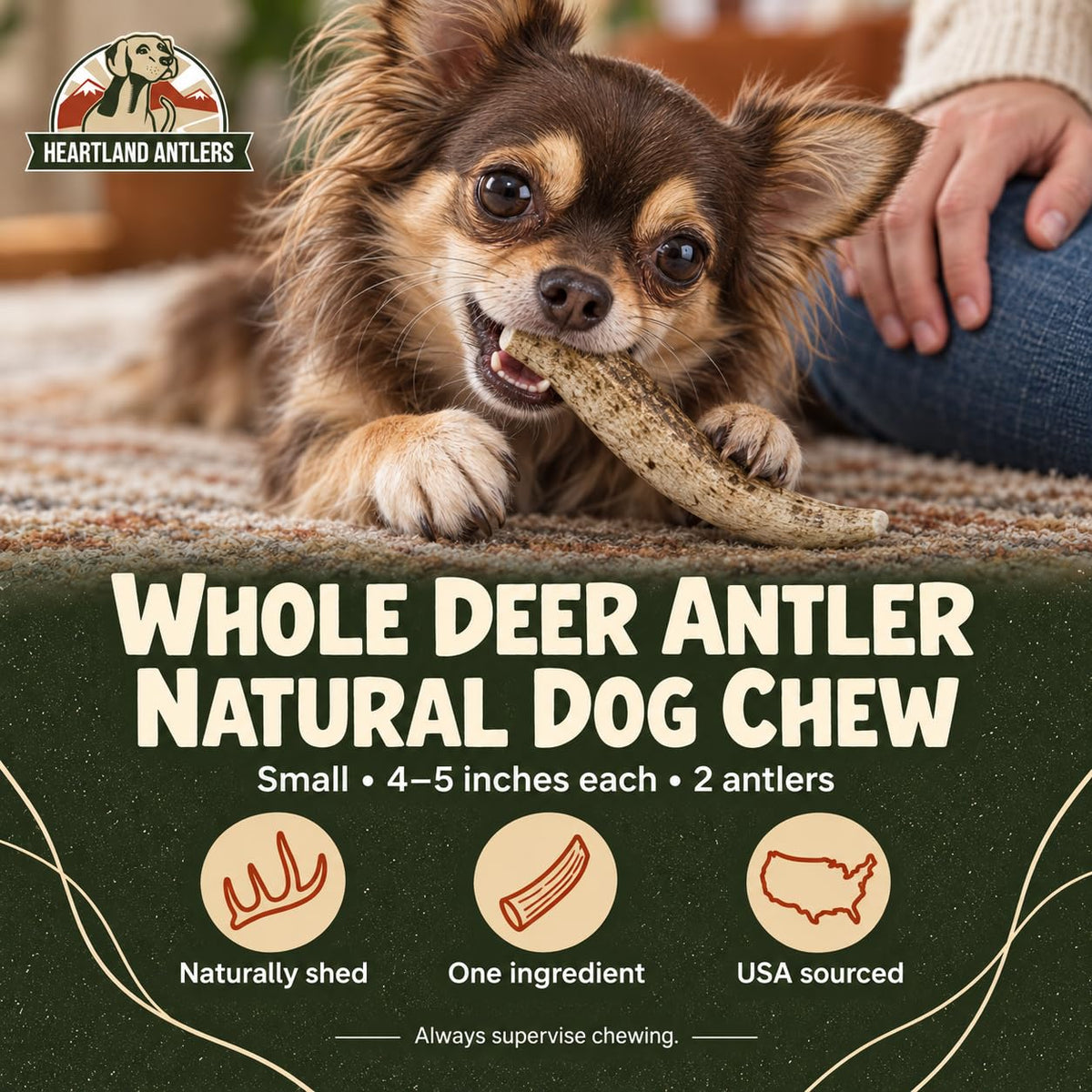 Deer Antler Dog Chew (Small 2-pack (Dogs 5-25 lbs))
