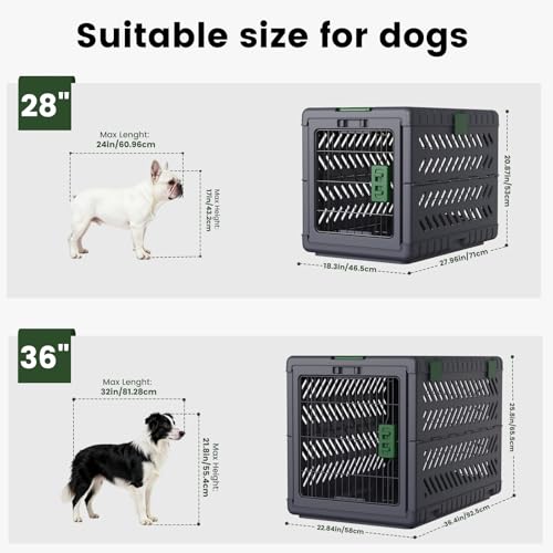 Collapsible Dog Crate for Large (Dark Grey / 36.4"L x 22.8"W x 25.8"H)