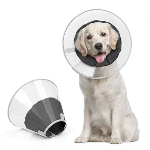Upgraded Dog Cone with Soft Liner (Black / XL)
