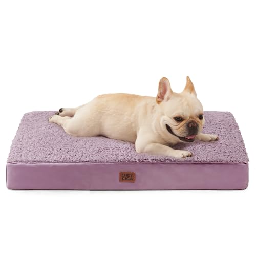 Orthopedic Dog Bed Medium with Removable Washable Cover (30*20*3.5 inches / Fog Purple)