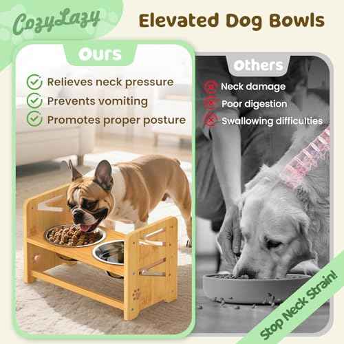 Elevated Dog Bowls