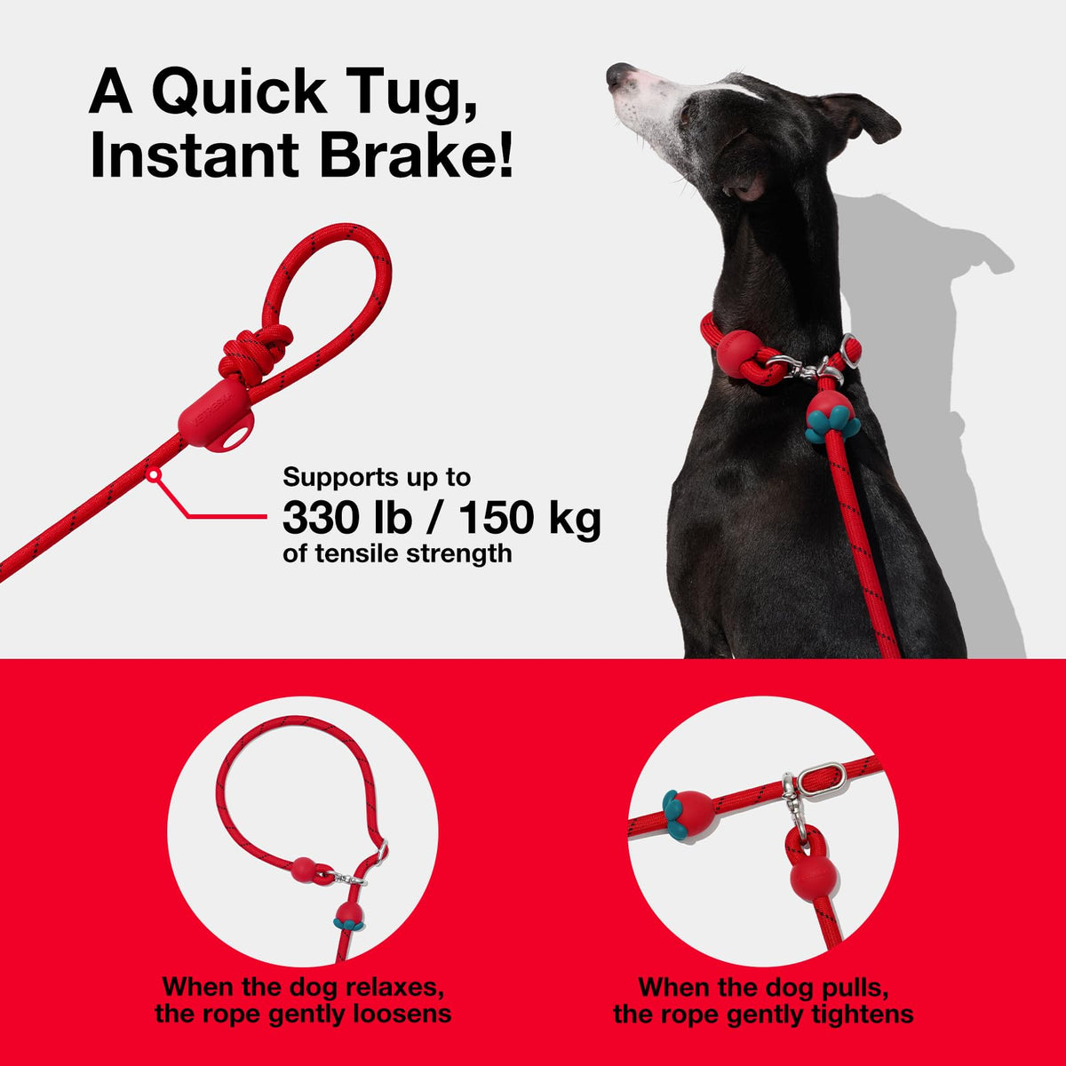 Hands Free Dog Leash (Strawberry Red)