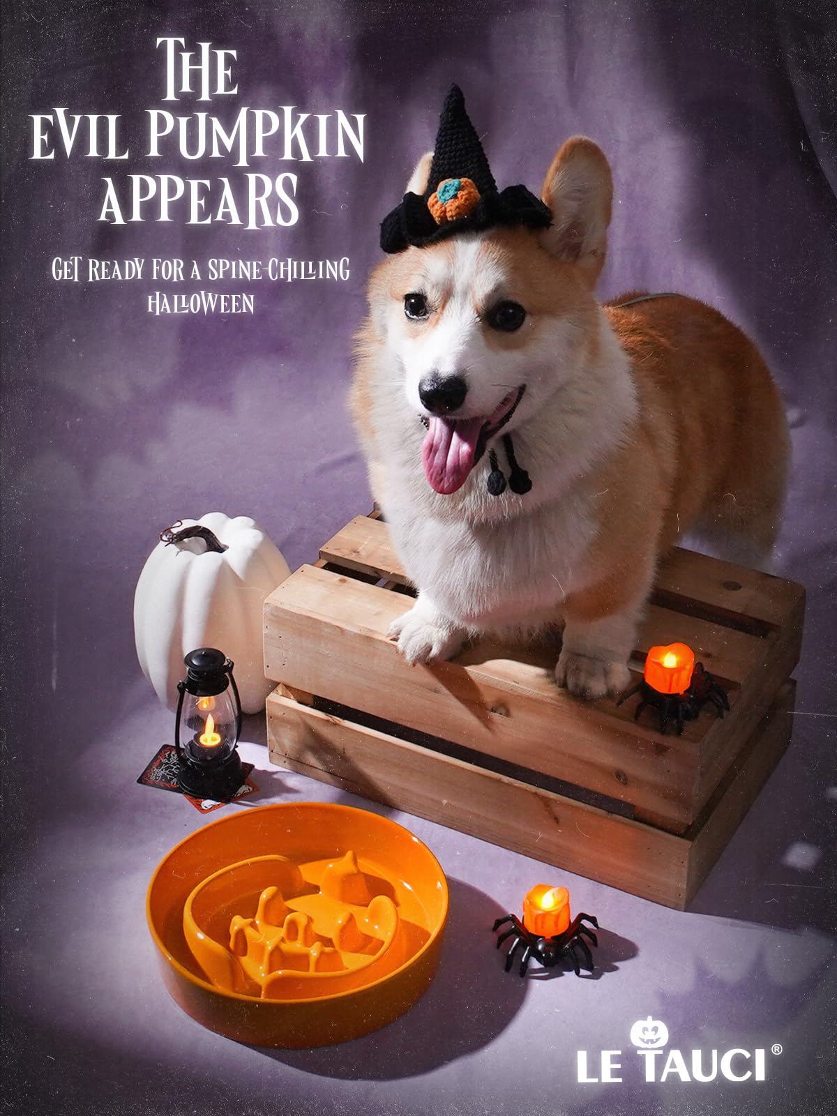 Ceramic Slow Feeder Dog Bowl for Medium & Large Dogs (Pumpkin Orange / L-3 Cups)