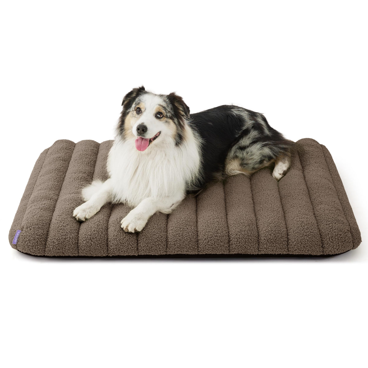 Cute Orthopedic Dog Bed Large Sized Dog (36"L x 27"W x 4"Th / Brown)