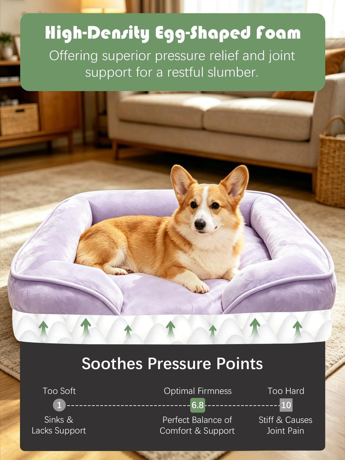 Orthopedic Dog Bed with Sides (28.0"L x 23.0"W x 6.5"Th / Purple)