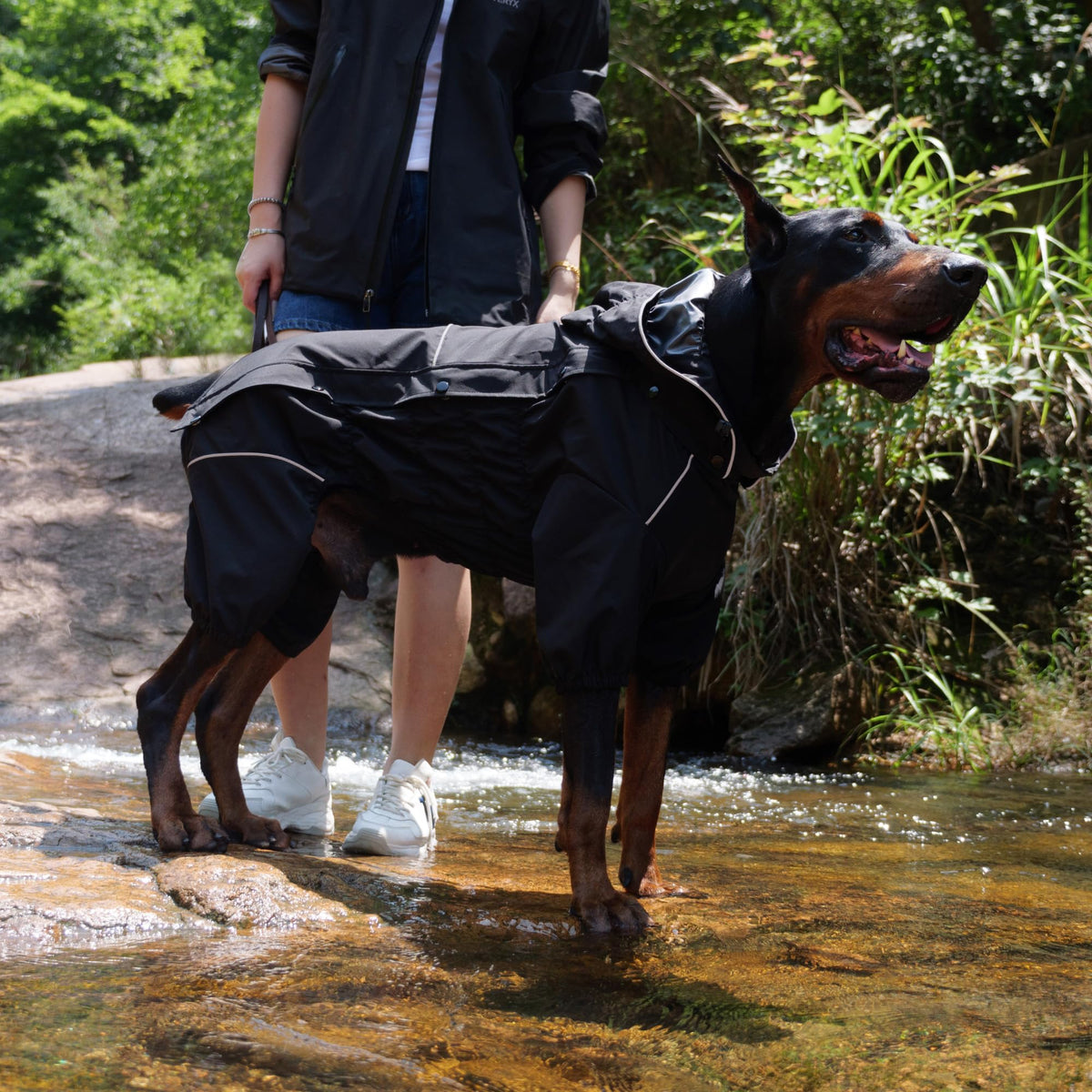Waterproof Dog Raincoat with Removable Hood (Black / 4XL (Back 23.5"))