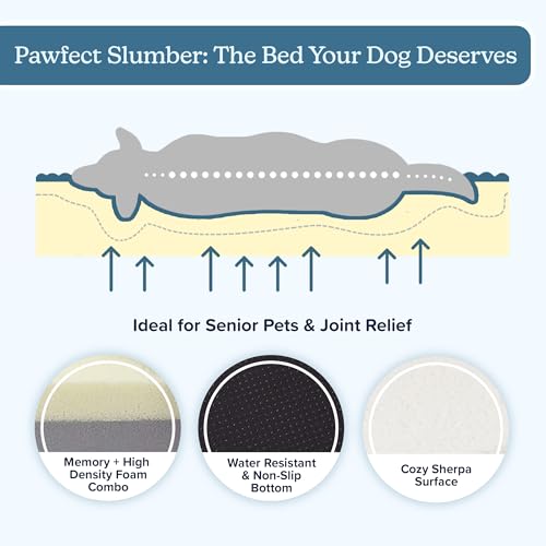 Orthopedic Dog Bed (Brown / Small)