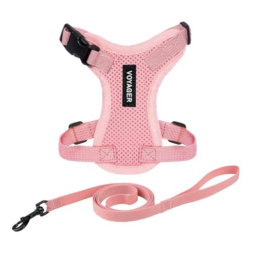 Voyager Step in Lock Cat Harness & Leash Set (Pink / XXS (Chest: 11.5 - 14"))