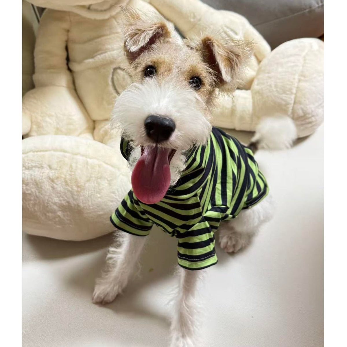 Turtleneck Dog Shirt Cute Doggie Embroidery Super Soft Dog Sweatshirt Stretchy Striped Puppy Pullover for Cats Small Medium Large Dogs (Green Striped / X-Small)