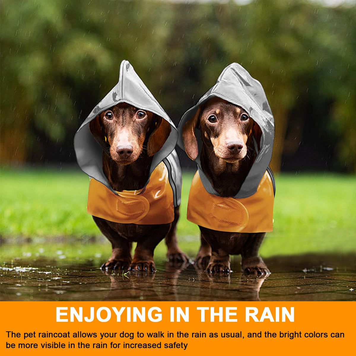 Dog Raincoat with Reflective Strip (S / Grey)