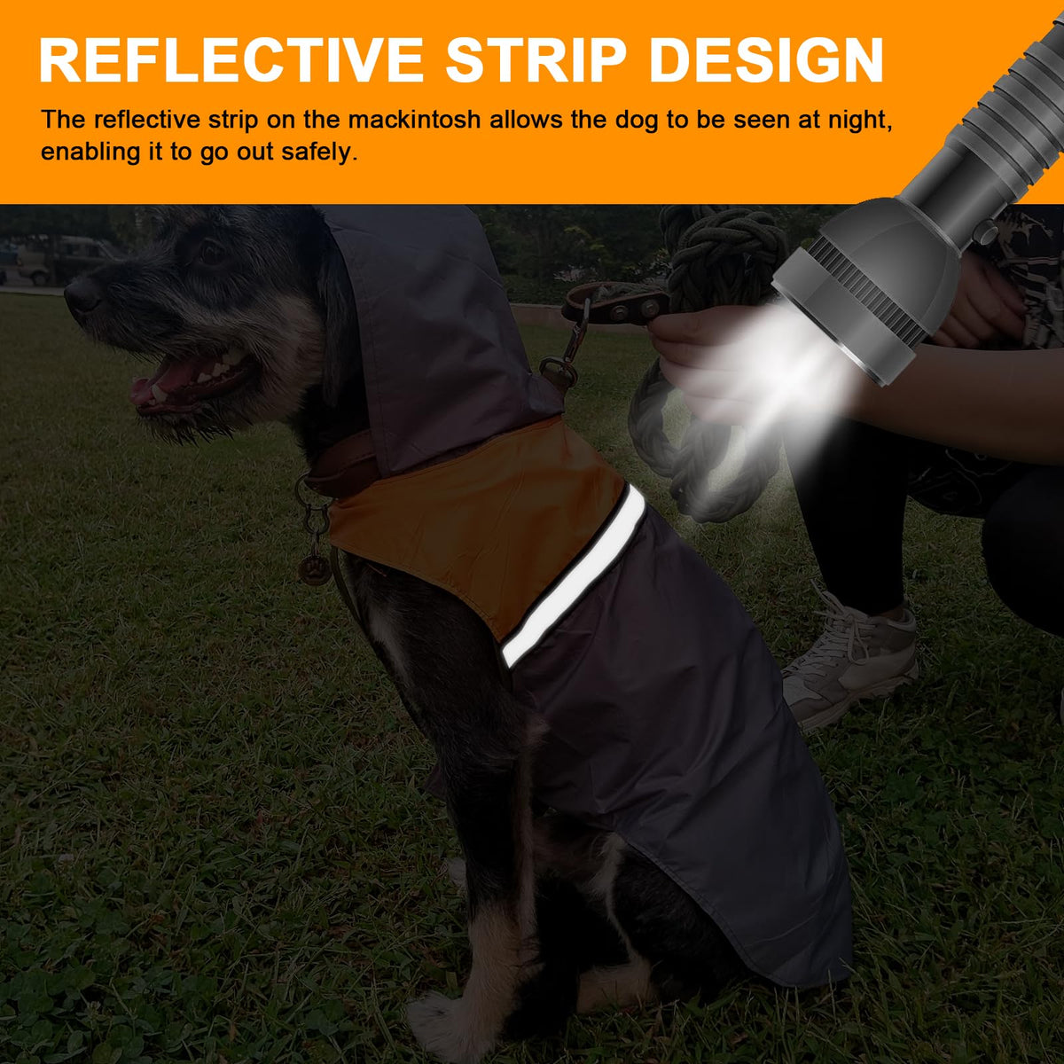 Dog Raincoat with Reflective Strip (S / Grey)